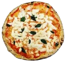 pizza BOLOGNA